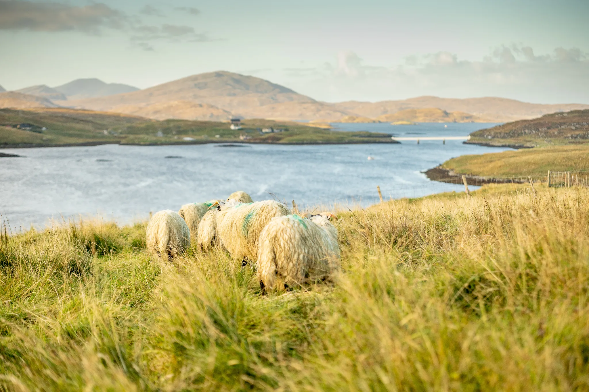 The croft on Great Bernera